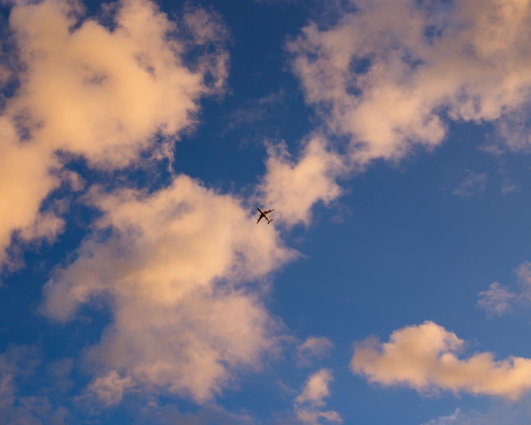 jason-ortego-19828-unsplash (1).jpg